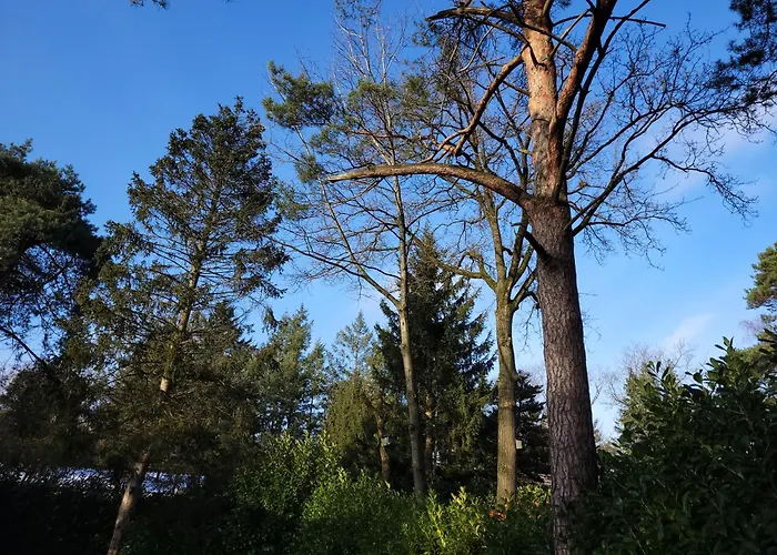 Secret Wellness Puur Natuur
