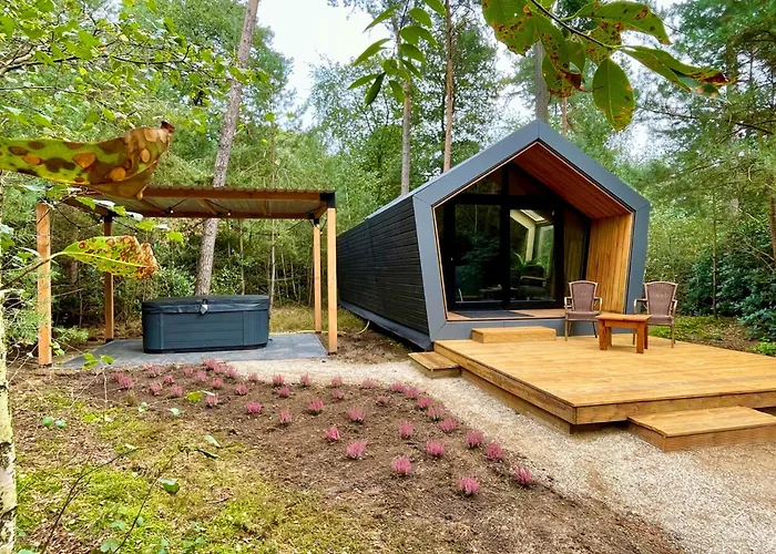 Diamond Suite In The Woods