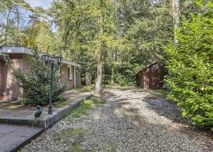 Relaxen In Het Bos Met Privesauna
