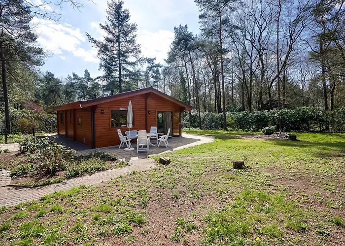Bungalow In Holten Near Forest Trails